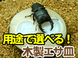 ���塞�������֥ȥॷ���ѥ�����