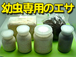 ���֥ȥޥåȤȶݻ�ӥ�ʥ��塞�������֥ȥॷ����Υ�����