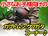 �����ʤ����͸����Ρؤ��郎���١��ؤ��֤Ȥष�٤����䥳���ʡ�