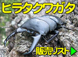 �ҥ饿���塞��������ꥹ��