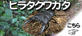 �ҥ饿���塞���ʤҤ餿���郎��������