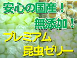 ���塞�������֥ȥॷ������Υ���