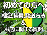 ���塞����˼����Ȥ���ʸ�˴ؤ������ȯ����ˡ���������