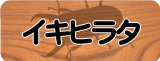 �����ҥ饿���塞��