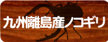 �彣Υ�绺�Υ����ꥯ�塞������
