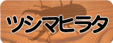 �ĥ��ޥҥ饿���塞��