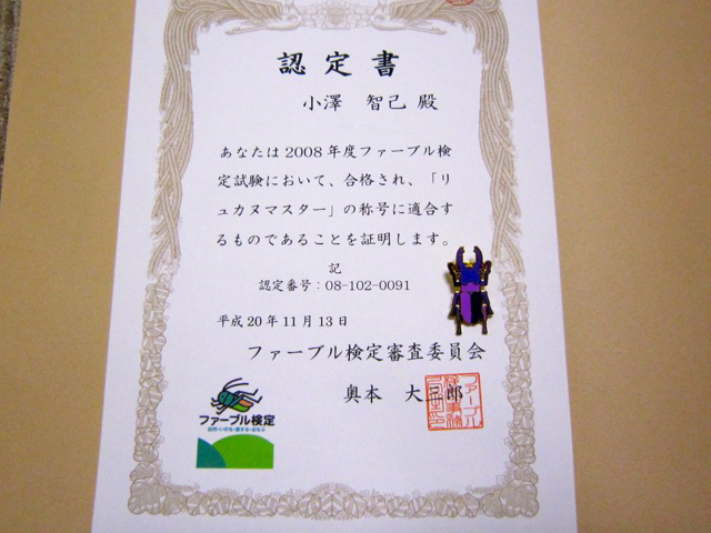 ��奫�̥��ޥ������ʥ��塞����������