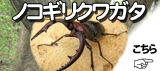 �Υ����ꥯ�塞���ʤΤ����꤯�郎��������