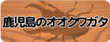 �������塞������ʼ����縩����