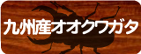 �彣���������塞�����䥳���ʡ�
