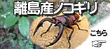 �彣Υ�绺�ΥΥ����ꥯ�塞�������䥳���ʡ�