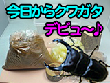 �������塞����ñ���饻�åȤ�����